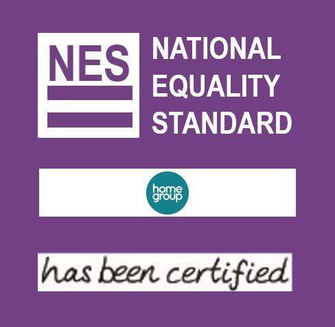 National equality standard logo
